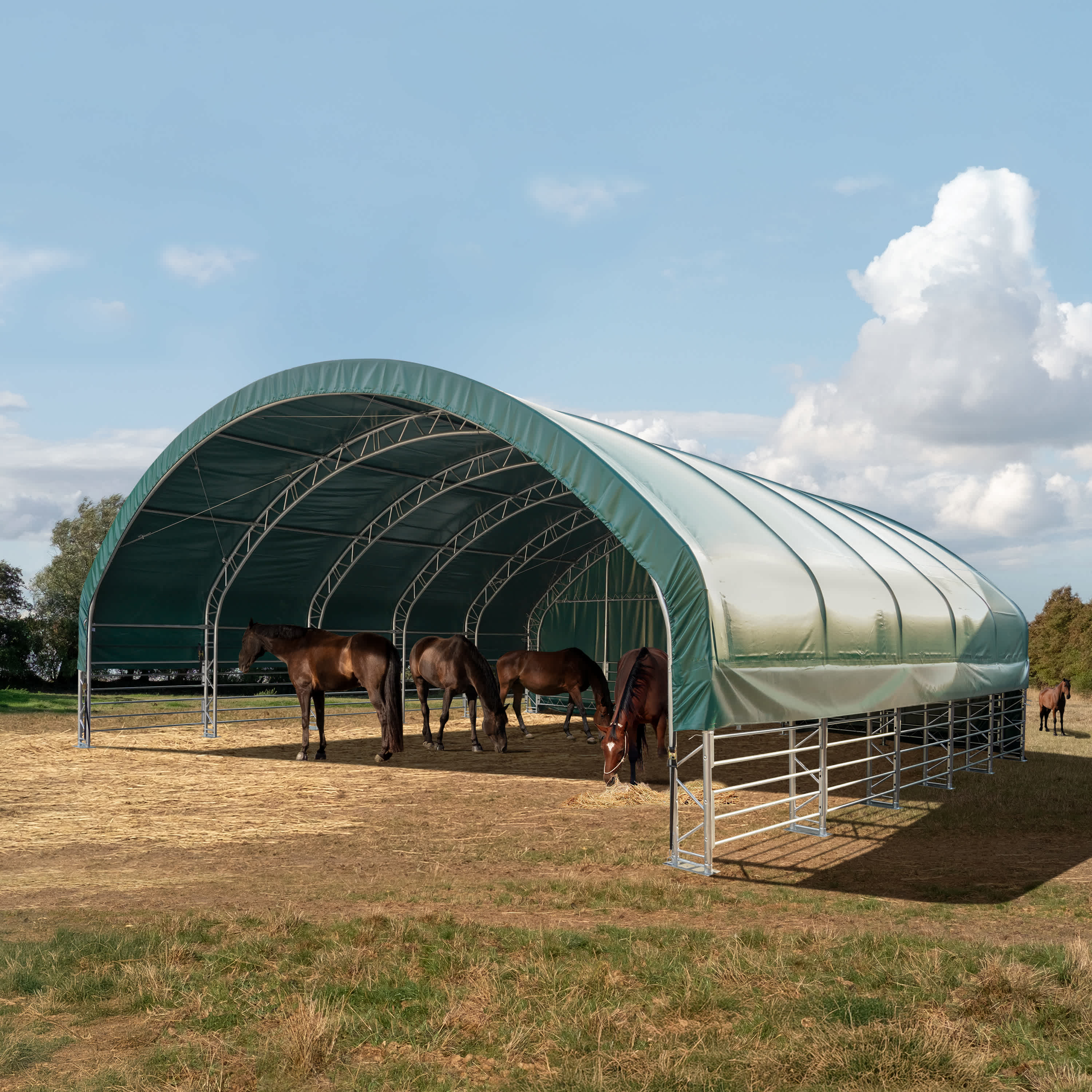 10x10m Abri tunnel vert foncé PVC 2300 Abri chevaux, Abri agricole, Abri animaux, Abri foin, Abri prairie, Tente de pâturage