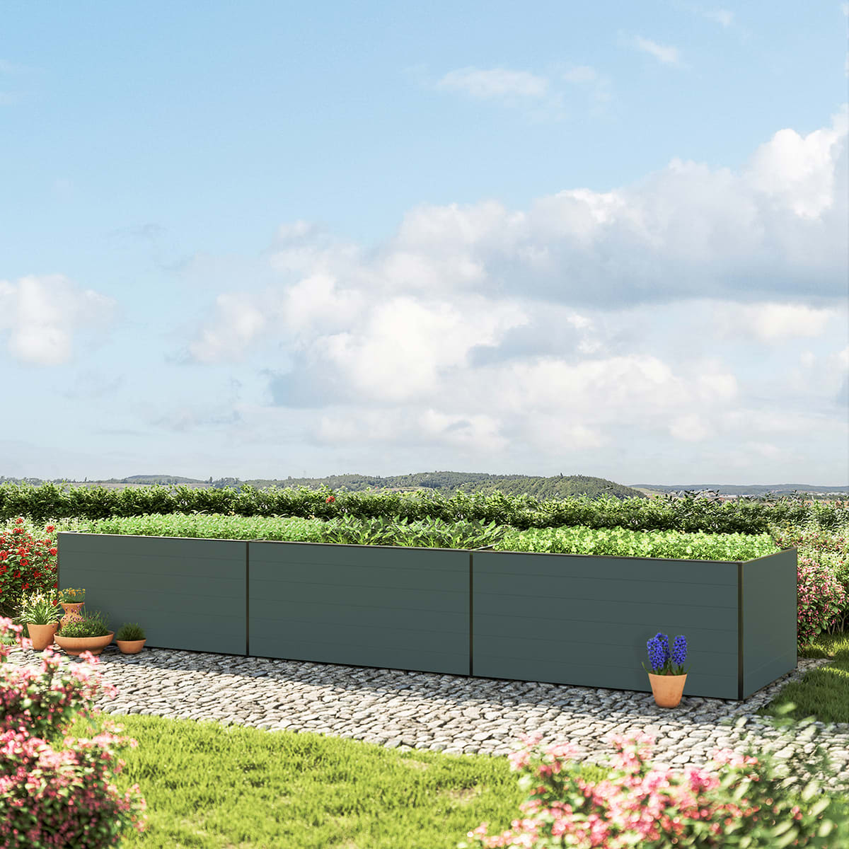 1,19x4,9x0,77 m Carré potager anthracite Aluminium Châssis de jardin