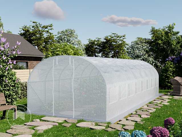 DTL-1_FOG_BAS_0300x0800_WH