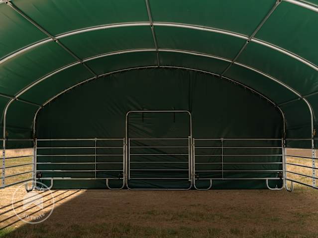 DTL-4_WEI_PRO_0800x0800_DGN