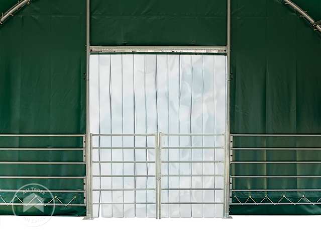 DTL-4_ZUB_WEI_PRO_STR_0600x0600_DGN