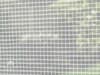 DTL-6_AFO_WH