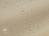 DTL-7_FP_CRE