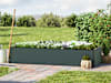 GBD_HOB_HAL_195x77_AN