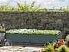 GBD_HOB_HAL_235x119_AN