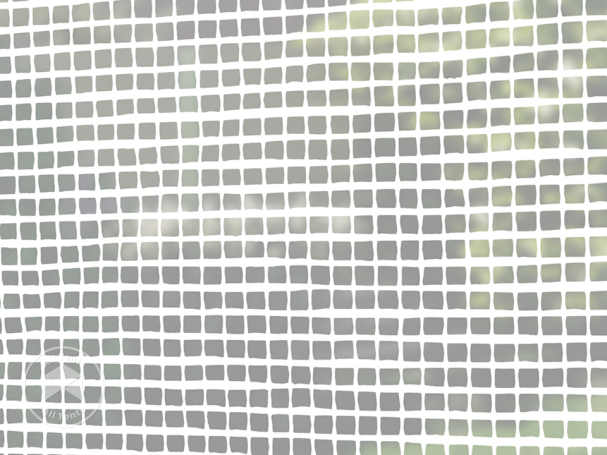 BTX_FOG_BAS_TARP_1_WH