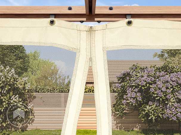 BTX_ZUB_PER_CLA_MOS_CH_2