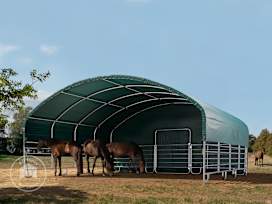 Animal field shelter 8x8m, dark green, concrete anchors