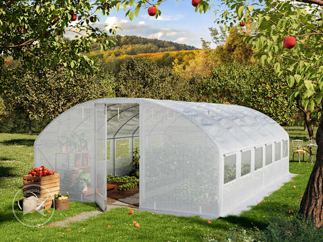 DTL-1_FOG_PRE_0400x0600_WH