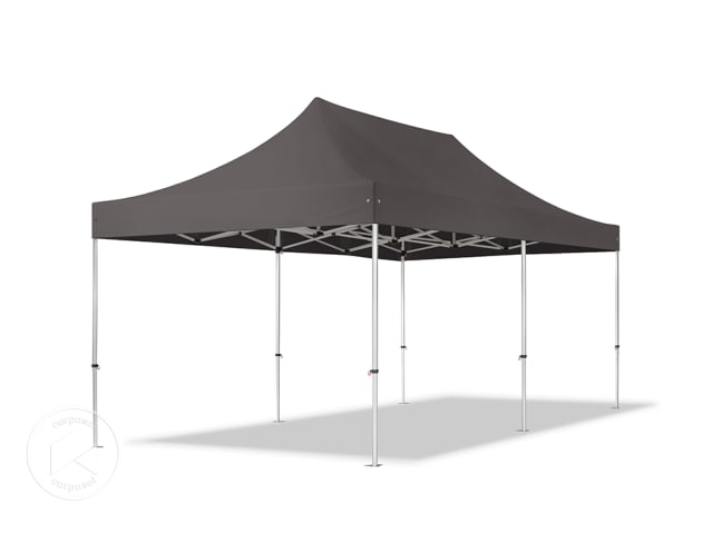 DTL-1_FP_0300x0600_A40_DGY