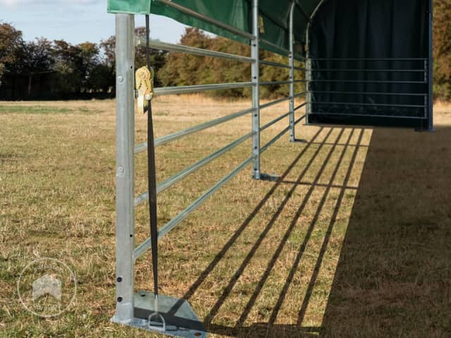 DTL-5_WEI_PRO_0600x0600_DGN