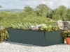 GBD_HOB_HAL_150x77_AN