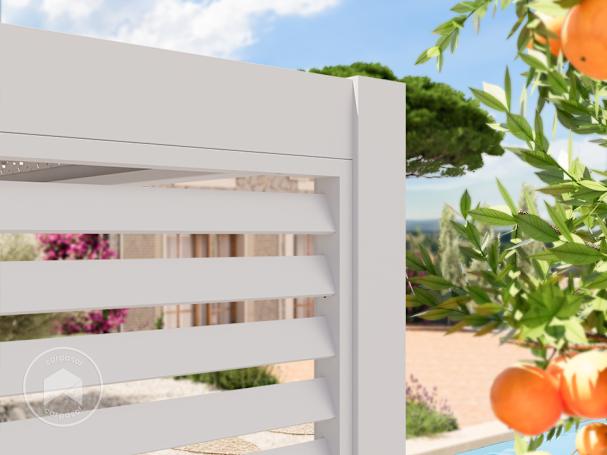 BTX_ZUB_PER_PRE_WH_3