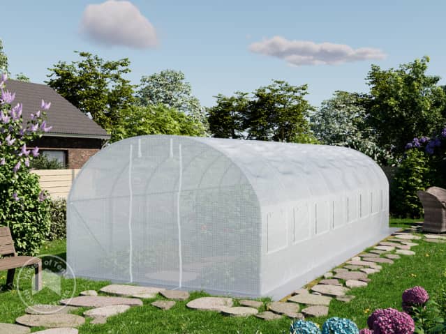 DTL-1_FOG_BAS_0300x0800_WH