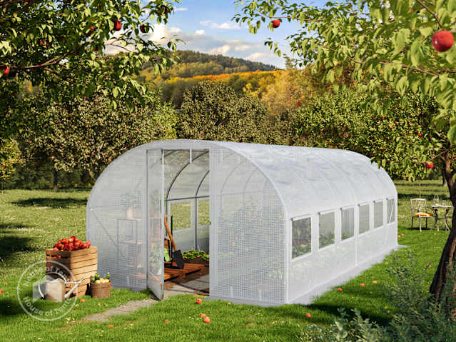 DTL-1_FOG_PRE_0300x0600_WH