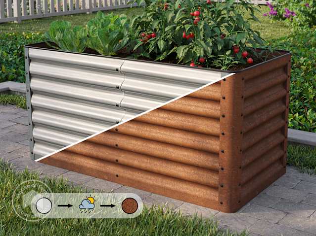 DTL-1_HOB_LUCA_CORTEN
