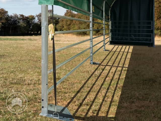 DTL-5_WEI_PRO_0600x0600_DGN