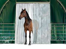 Strip curtains for the Professional field shelter 4x4 m