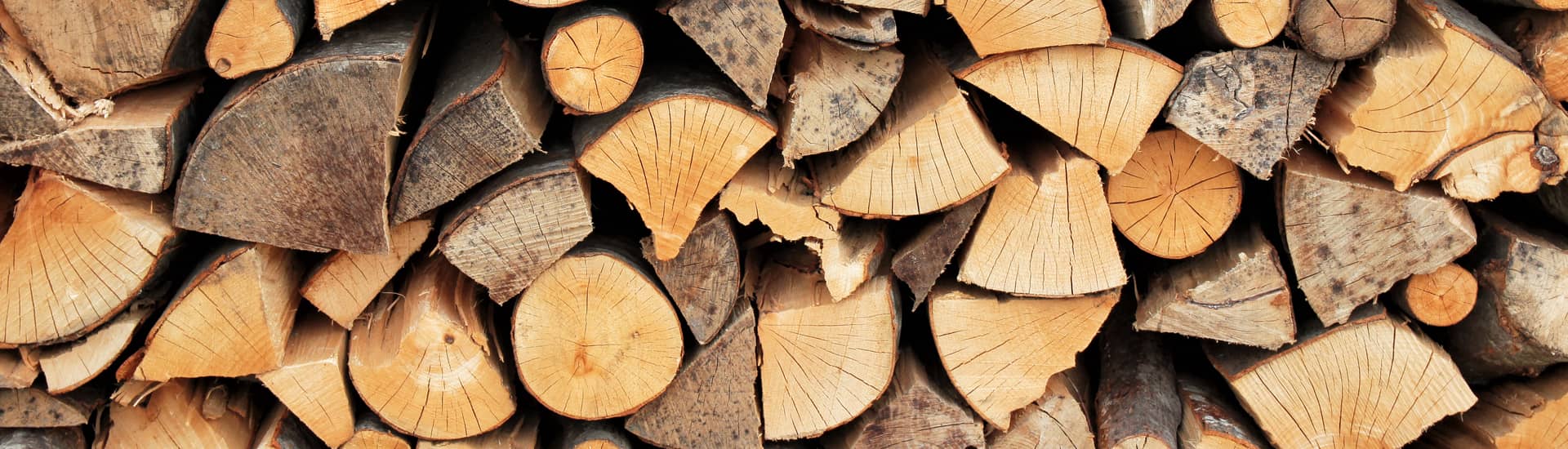 Comment protéger son tas de bois ? Nos conseils pour qu'il sèche bien