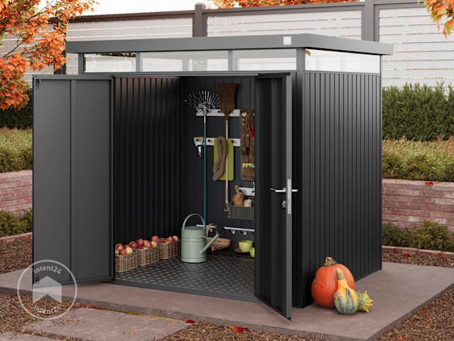 DTL-1_GEH_AMIRA_2118