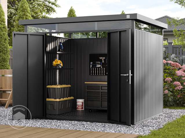 DTL-1_GEH_AMIRA_2421