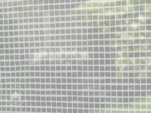 DTL-6_AFO_WH