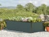 GBD_HOB_HAL_150x77_AN