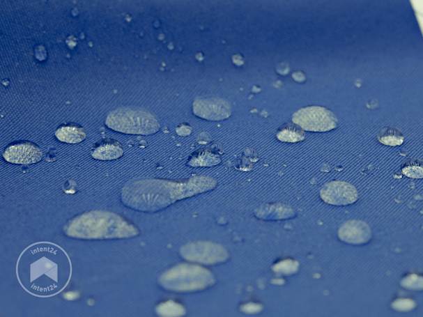 BTX_ZUB_FAP_TARP_PES_BU