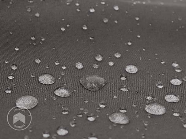 BTX_ZUB_FAP_TARP_PES_DGY