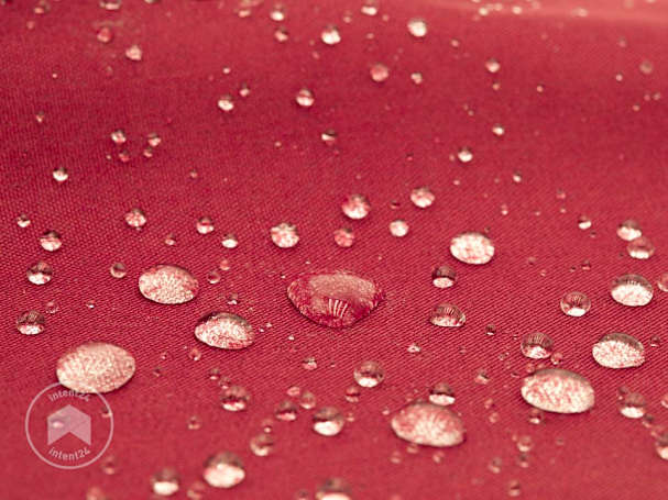 BTX_ZUB_FAP_TARP_PES_RD