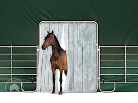 Rideaux à lanières pour tente de pâturage Professional 8x8 m