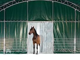 Rideaux à lanières pour tente de pâturage Professional 10x10 m