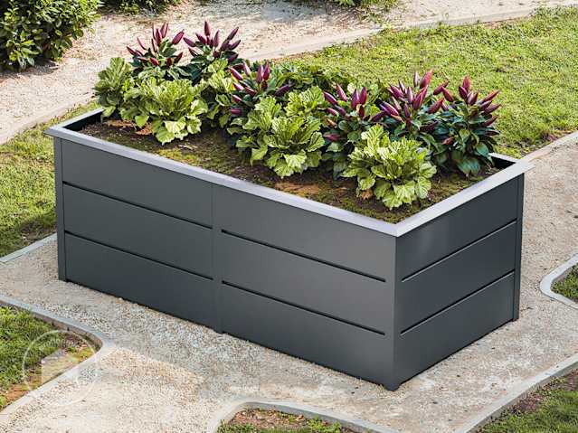 DTL-1_HOB_DES_LILLY_1707