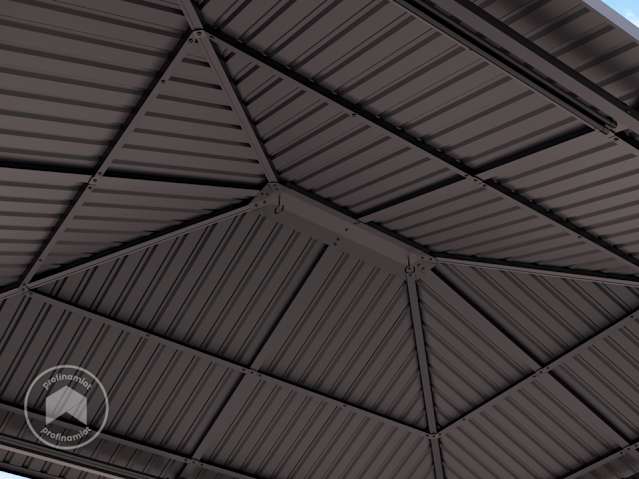 DTL-4_0300x0365_MOON_SUP