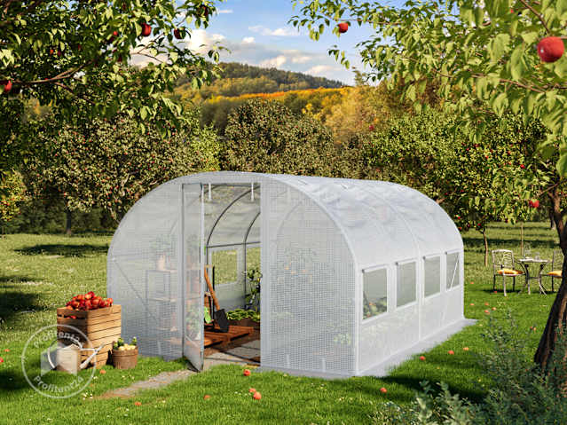 DTL-1_FOG_PRE_0300x0400_WH