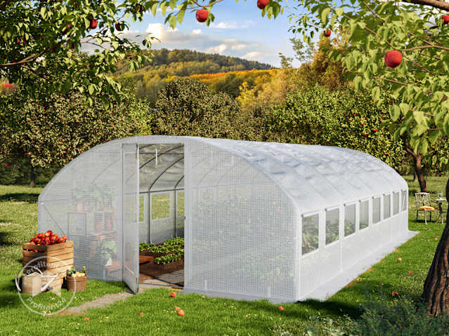 DTL-1_FOG_PRE_0400x0800_WH