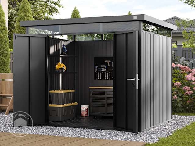 DTL-1_GEH_AMIRA_2421