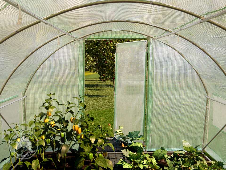 TOOLPORT 3x4m Foliengewächshaus, PE-Plane, grün - (8989)