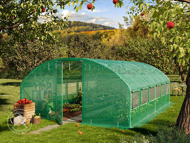 DTL-1_FOG_PRE_0400x0600_DG