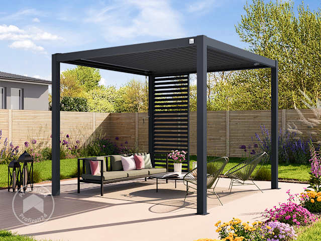 DTL-2_ZUB_PER_PRE_SLAx1_AN