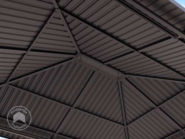 DTL-4_0300x0365_MOON_SUP