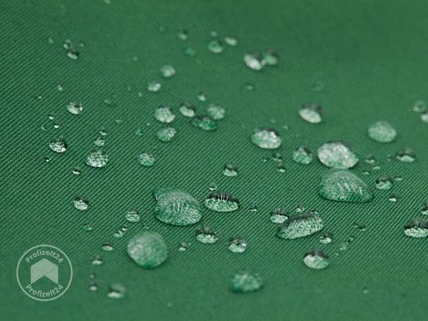 BTX_ZUB_FAP_TARP_PES_DGN