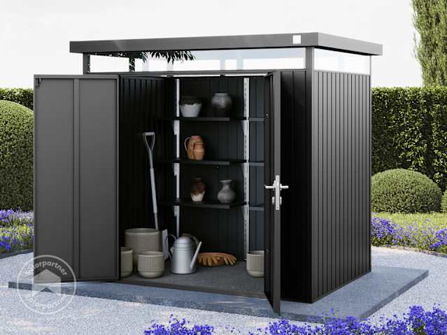 DTL-1_GEH_AMIRA_2115