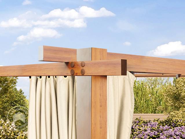 DTL-5_ZUB_PER_CLA_SID_CH