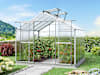 GBD_GWH_STA_ORCHIDEE-4_MFR