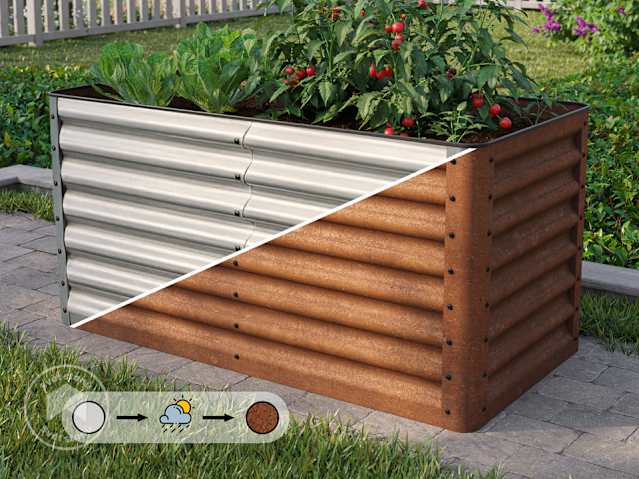 DTL-1_HOB_LUCA_CORTEN