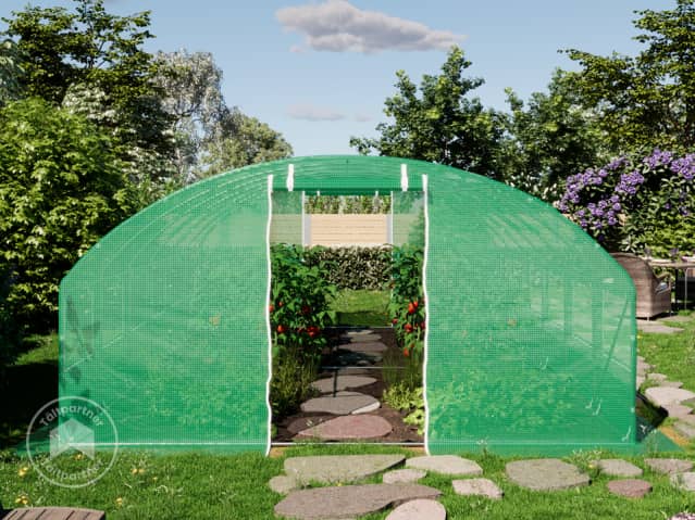 DTL-2_FOG_BAS_0400x0600_GN