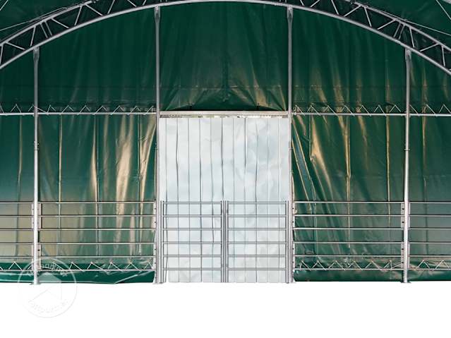 DTL-4_ZUB_WEI_PRO_STR_1000x1000_DGN