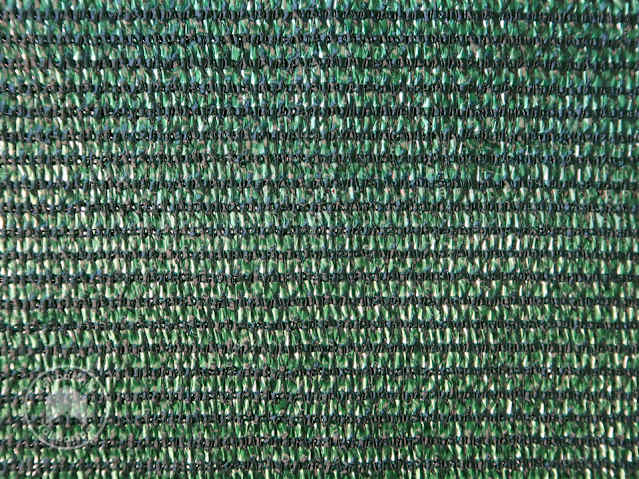 DTL-4_ZUB_WEI_PRO_WIN_DGN