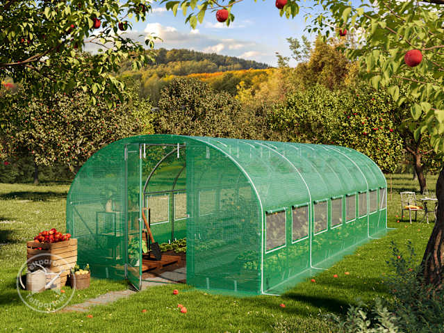 DTL-1_FOG_PRE_0300x0800_DG